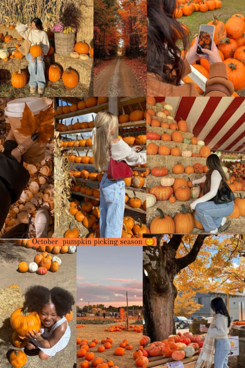 fall bucket list